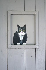 Gatto dipinto su una porta in legno 