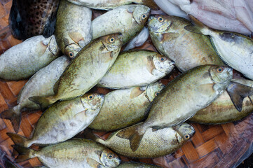 Seafood selling on the street of Vietnam