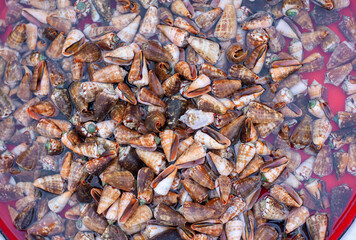 Seafood selling on the street of Vietnam