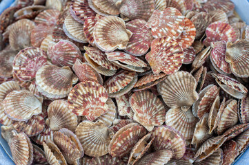 Seafood selling on the street of Vietnam