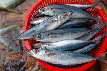 Seafood selling on the street of Vietnam