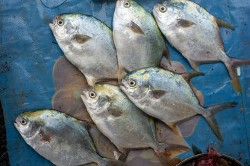 Seafood selling on the street of Vietnam