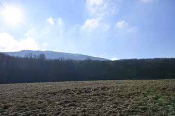 Morning in the mountains