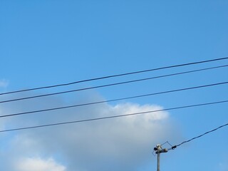 This photo captures a minimalist composition of a utility pole and overhead power lines set against...