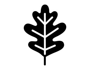Obraz premium Oak leaf silhouette vector icon, botanical theme, simple black and white design, ideal for educational, nature, or eco-friendly graphic projects.