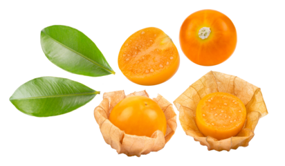 capegooseberry isolated on transparent png (Image from camera)