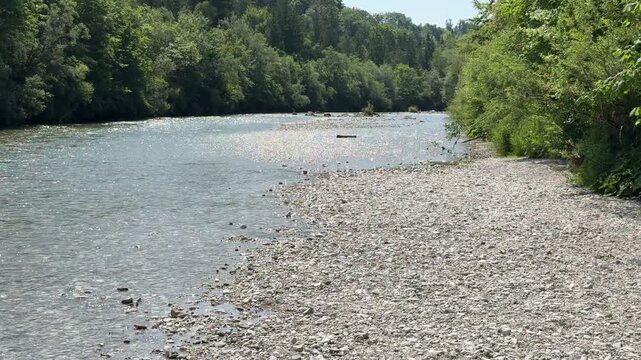 alpine and clean river Alm in Upper Austria