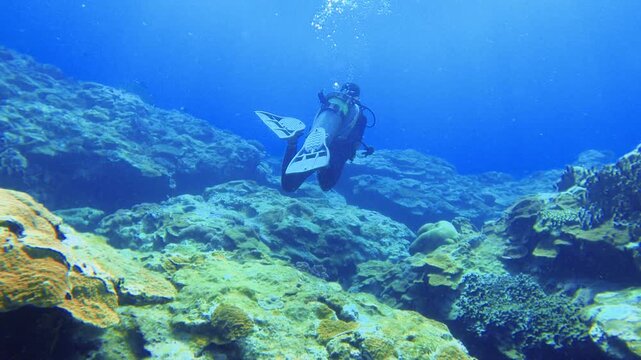 slow motion of a scuba diver wearing diving equipment view from the back swimming underwater in the blue sea salt with hard coral Montipora reef at bottom of the deep ocean bed during day time in Asia