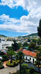 Fototapeta premium Vibrant cityscape with palm trees under a cloudy blue sky on Madeira Islands