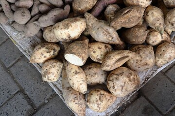 A seamless pattern of fresh jicama or bengkuang with brown skin, photographed from a top angle.