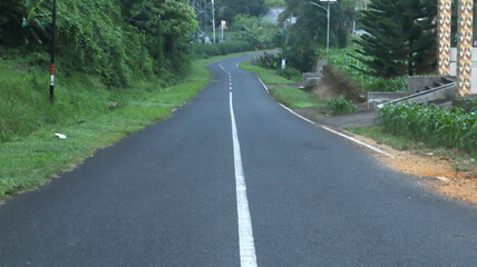 low angle photo of road divider, side of green road with trees.