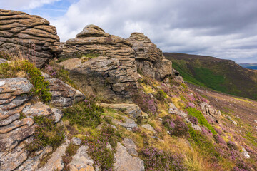Layered gritstone rocks and blooming heather on Kinder Scout Plateau near Edale in the Peak...
