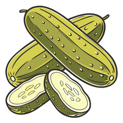 vector illustration of a cucumber