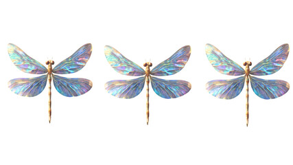 Three Dragonflies with Iridescent Wings. White or transparent background.



