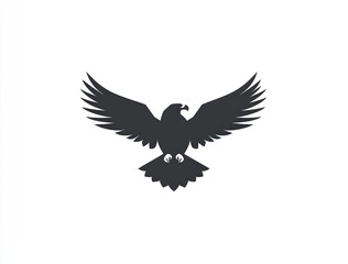 Obraz premium Silhouette of a soaring eagle (1)