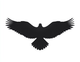 Fototapeta premium Silhouette of a soaring bird (1)
