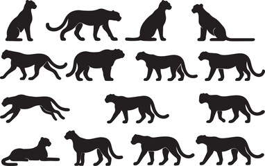 Fototapeta premium Cheetah silhouettes various poses feline animal