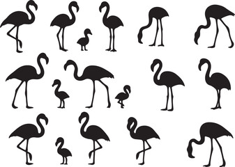 Flamingos standing and feeding silhouettes bird birds