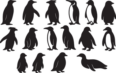 Naklejka premium Penguin silhouettes collection animal wildlife