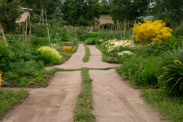 Obraz premium A winding dirt path runs through a lush, colorful garden with flowering bushes, vegetables, and wooden plant supports surrounded by trees and greenery.