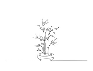 Bamboo plant in single line draw illustration. Continuous one line drawing of bamboo bonsai.