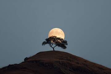 Full moon over solitary hilltop tree