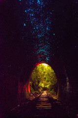 Eerie Blue Bioluminescent Glow in Abandoned Sydney Tunnel at Night