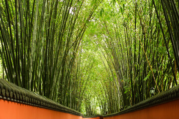 Bamboo Grove At Wuhou Shrine Tourism Landmark Scenic Photography