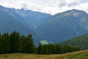 Obraz premium Schöne Landschaft im Ultental in Südtirol 