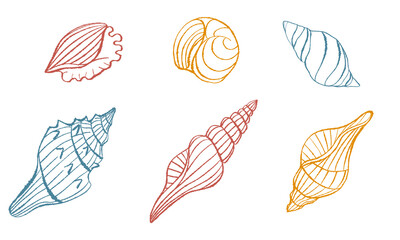 Set of spiral seashells in colored line drawing style. Vintage marine collection of mollusk shells. Vector isolated single line illustration on white background for print, decor, stickers