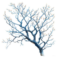 Fototapeta premium Bare Winter Branch: A solitary tree stands elegantly against the cold, showcasing intricate network of branches, watercolor aesthetic