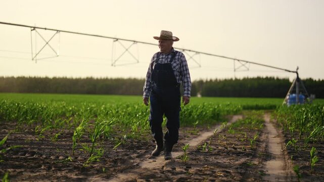Happy old farmer viewing his own fields in summer day, modern irrigation system. Successful agribusiness in agriculture region, economy and ecology, decide of world food problem, amazing scenery