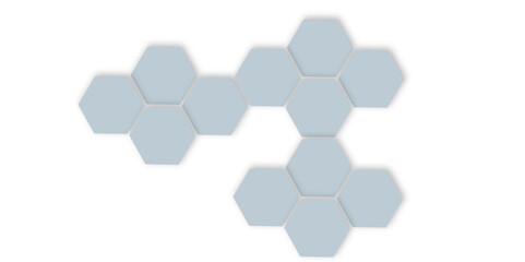 Abstract color flower hexagon flat for frame design element banner vector illustration .