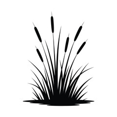 Silhouette of cattails growing in a marshy area