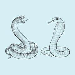 Fototapeta premium vector illustration of a cartoon snake