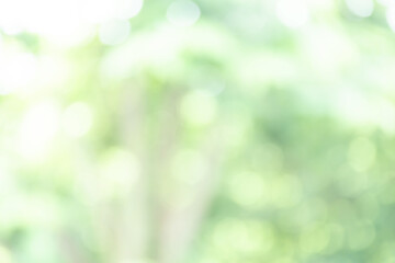 Obraz premium soft green natural bokeh background, blur nature, natural green bokeh light for background, ideal for summer background, and creative projects needing bright, fresh, and organic backdrops