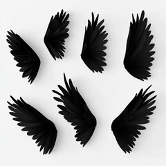Obraz premium Seven black angel wings arranged on a white background
