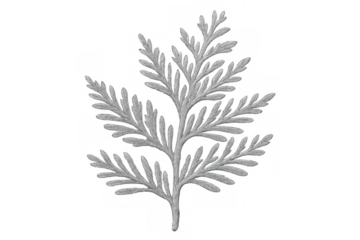 Silver cypress branch embroidery design isolated on transparent background, perfect for elegant and nature-inspired creations
