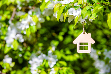 The symbol of the house among the branches of the pear
