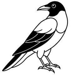 Obraz premium Crow vector illustration perfect for posters, icon, t-shirts, cards, wall art prints and ai design.