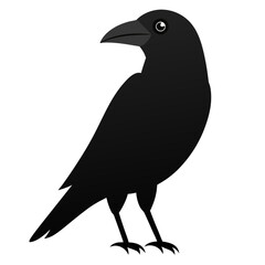 Fototapeta premium Crow vector illustration perfect for posters, icon, t-shirts, cards, wall art prints and ai design.