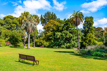 Naklejka premium Royal Botanic Gardens Victoria. They were founded in 1846 on the south side of the Yarra River, with trees, garden beds, lakes and lawns. Melbourne, Australia, Dec 2019