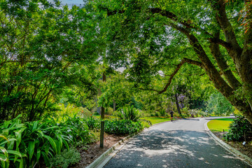 Royal Botanic Gardens Victoria. They were founded in 1846 on the south side of the Yarra River,...