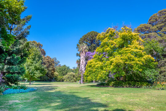 Royal Botanic Gardens Victoria. They were founded in 1846 on the south side of the Yarra River, with trees, garden beds, lakes and lawns. Melbourne, Australia, Dec 2019