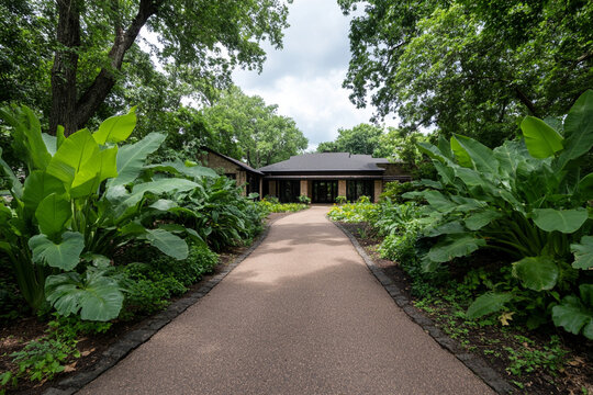 Transform your garden with these essential makeover tips