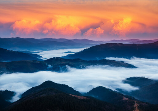 Breathtaking view of the valley shrouded in morning fog, layers of silhouettes of ridges going into the distance. Carpathian mountains, Ukraine.