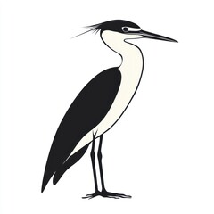 Fototapeta premium Profile view of a wading bird