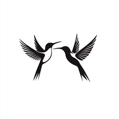 Two hummingbirds in flight, facing each other (5)