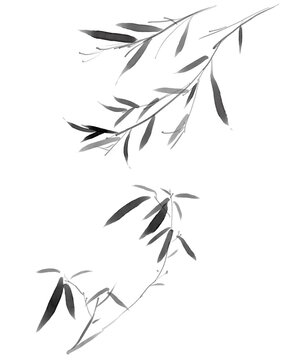 墨で描いた笹の葉のイラスト
