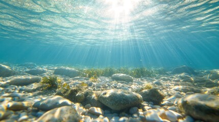Fototapeta premium Underwater Sunlight: Sunlight streams through the water's surface, illuminating the seabed with dancing light, capturing the mysteries and beauty of the underwater world. 